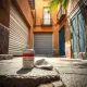 Comparar las opciones de mantenimiento para puertas de garaje basculantes en Barcelona en un cálido callejón con detalles de hardware.